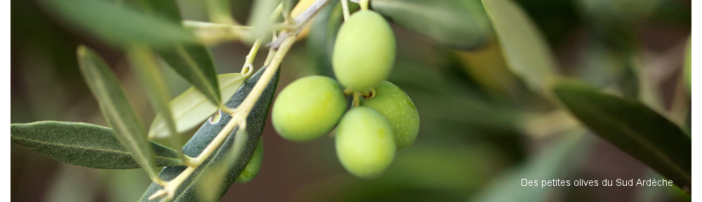 Sprachkurse in Litzelstetten